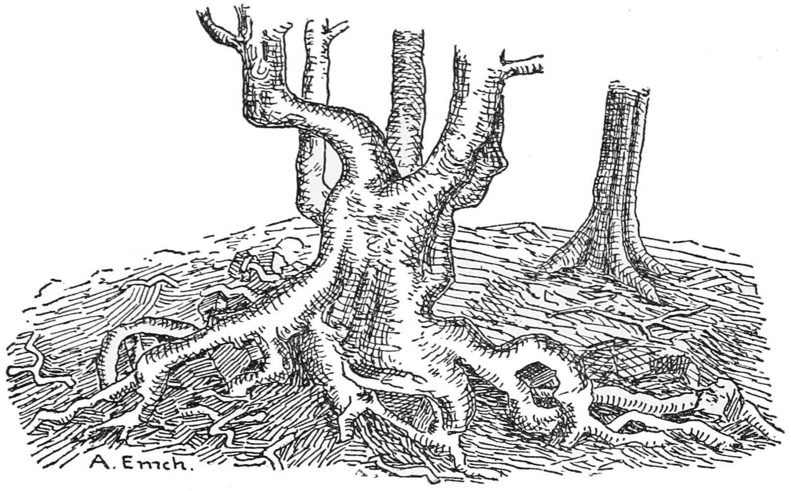 Out Now: ‘Cardinal Sin’ & Other Stories From Our New Issue – After The Storm Magazine