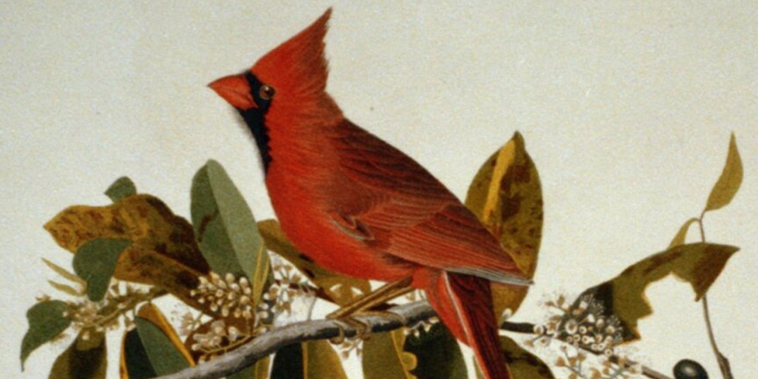 Cardinal Sin